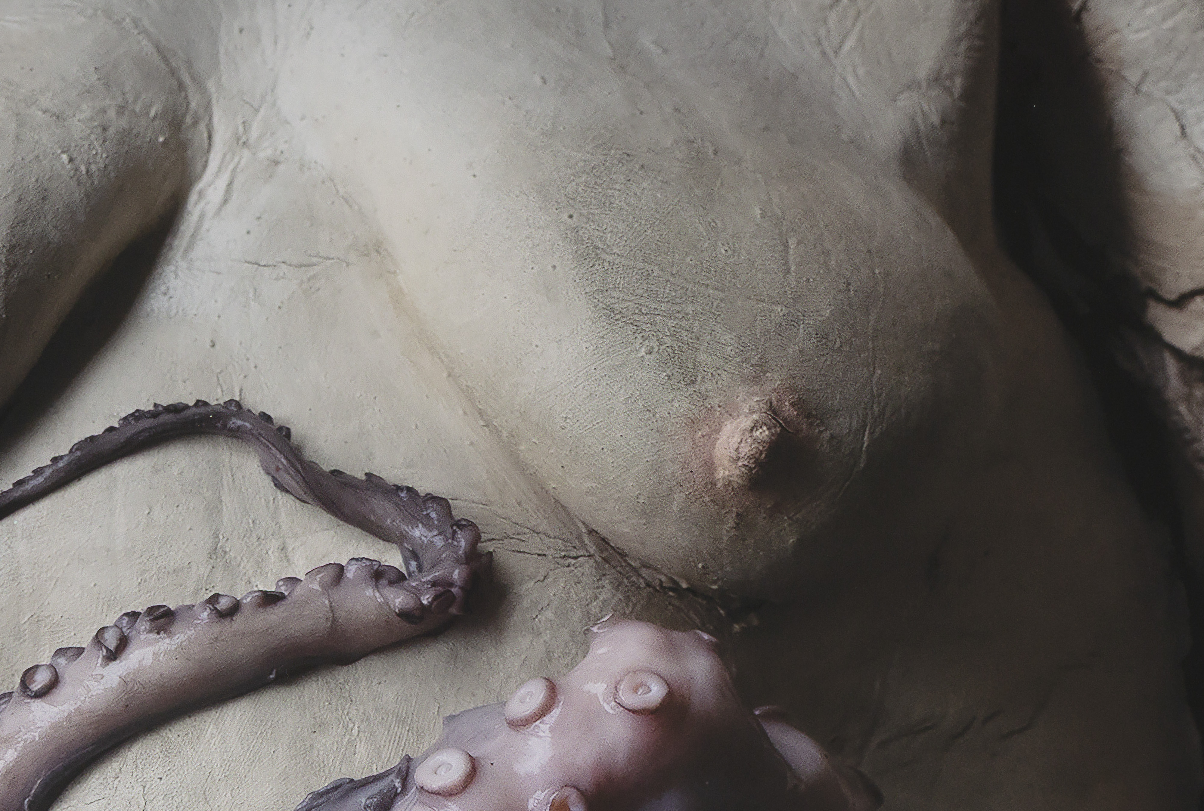 Feast (Fat Woman’s Belly)